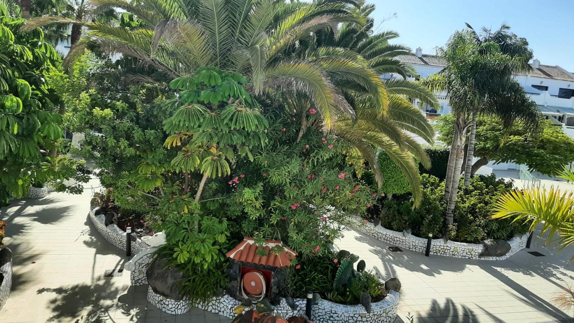 Blue Bay Paradise - Beach Front Apartment With Sea View Playa Paraiso  Ngoại thất bức ảnh